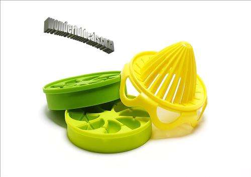 CITRUS ICE CUBE INFUSER SET