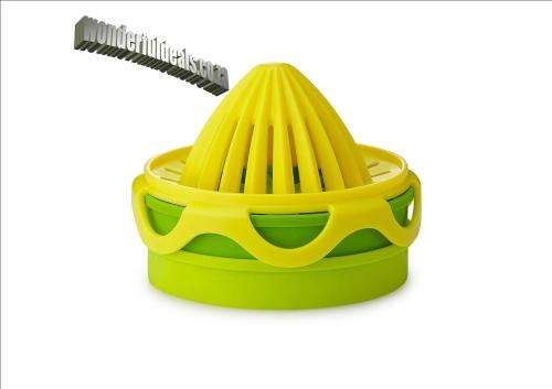 CITRUS ICE CUBE INFUSER SET