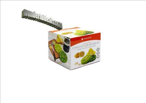 CITRUS ICE CUBE INFUSER SET