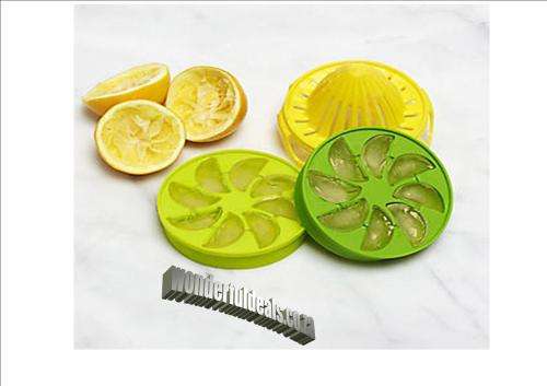 CITRUS ICE CUBE INFUSER SET