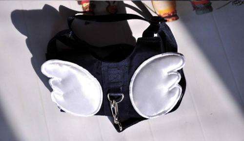 Child Anti Lost Strap