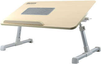 ERGONOMIC LAPTOP DESK
