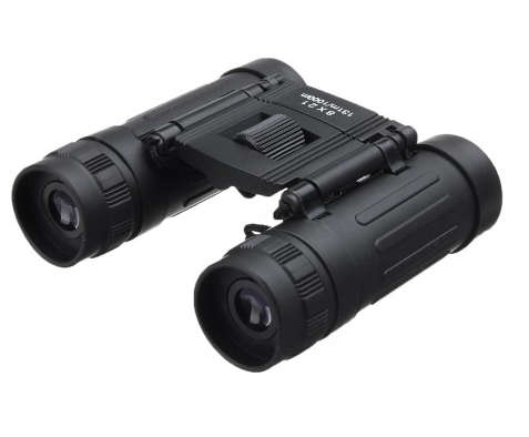 Mini 8X21 Folding Roof Prism BINOCULARS FOR HIKING/CAMPING
