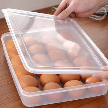 Egg Storage Container