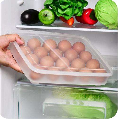 Egg Storage Container