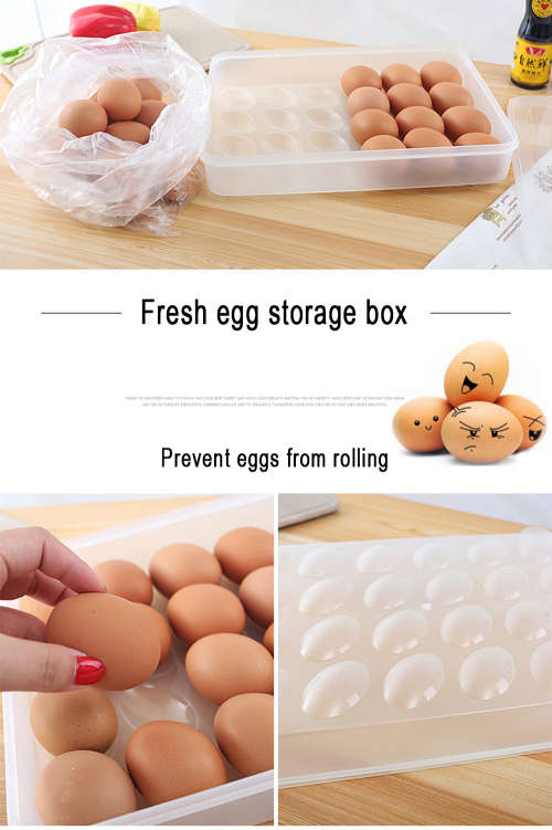 Egg Storage Container