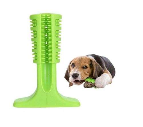 WORLDS MOST EFFECTIVE DOG TOOTHBRUSH