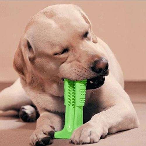 WORLDS MOST EFFECTIVE DOG TOOTHBRUSH