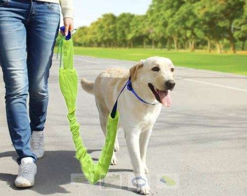 Reflective Pet Leash (3 Piece Set)