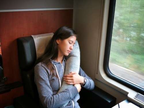 Travel Rest Pillow