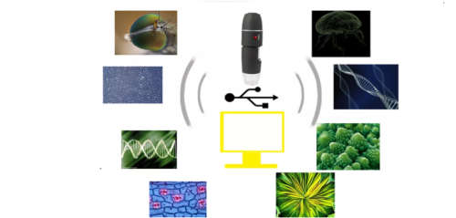 1600X Zoom 8 LED USB Digital Microscope Hand Held Biological Endoscope with Bracket