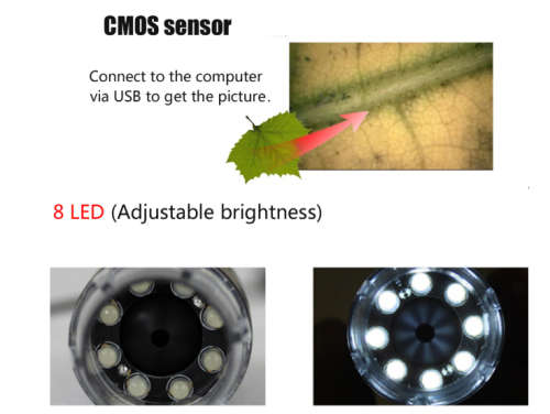 1600X Zoom 8 LED USB Digital Microscope Hand Held Biological Endoscope with Bracket