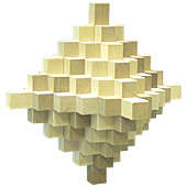 Wooden 3D Brain Bender puzzle