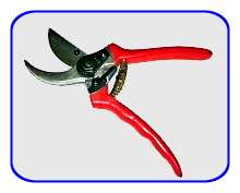 PRUNING SHEAR