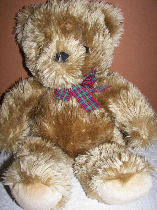LARGE CUDDLY TEDDY BEAR WITH A TARTAN RIBBON