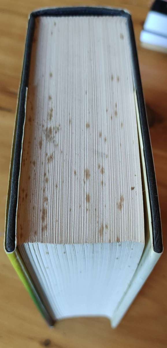 The Passions of the Mind by Irving Stone