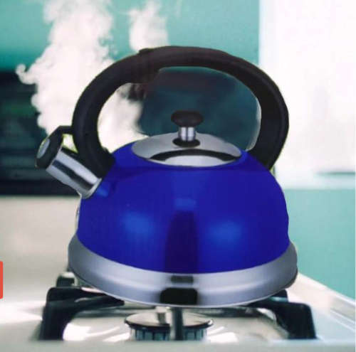 WHISTLING KETTLE 3.0L