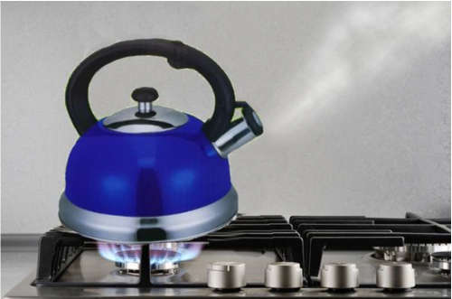 WHISTLING KETTLE 3.0L