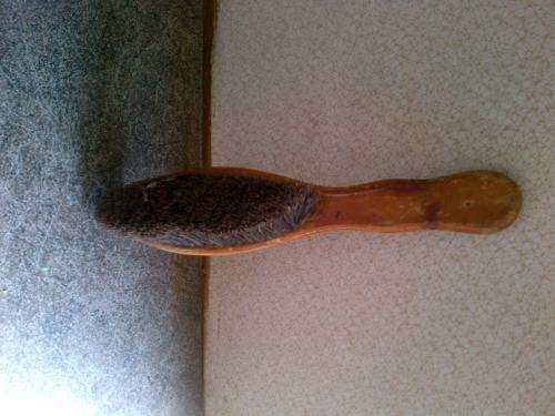 LOVELY OLD BRUSH TO CLEAN CARPETS AND RUGS WITH