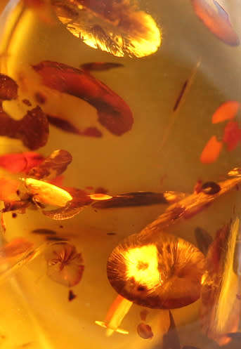 LARGE HANDCRAFTED BALTIC AMBER STERLING SILVER DROP AND DANGLE EARRINGS AMBER FROM POLAND. 49 mm!