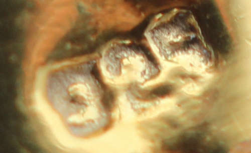 LONG DRAMATIC DROP & DANGLE EARRINGS WITH BAROQUE PEARLS & RUBIES IN GOLD-HUED STERLING SILVER. 925