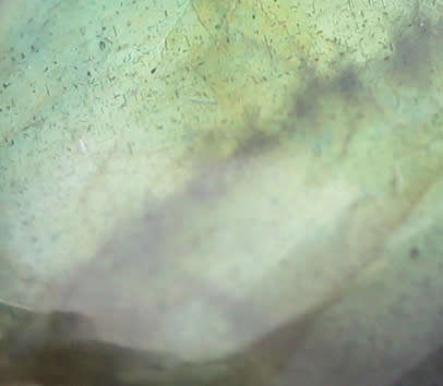 STUNNING VERY LARGE ELONGATED OVAL LABRADORITE STERLING SILVER RING. 925. MAGNIFICENT COLOURS! 12,7g