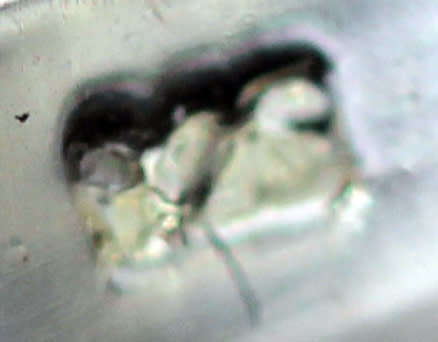 GLORIOUS LARGE & DRAMATIC NATURAL PEARL CABOCHON IN STERLING SILVER 925