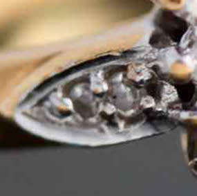 VINTAGE 18CT YELLOW GOLD AND DIAMOND 0,25ct RING. A SOLID 4,05 grams JEWELLER CERTIFICATE R18`000