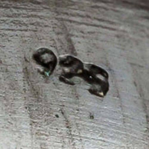 REAL SONGEA SAPPHIRES/ STRIKING HANDCRAFTED ORGANIC DESIGN RING GUNMETAL-HUED STERLING SILVER