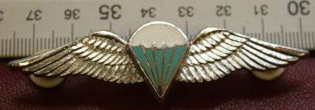 SADF-Army- PARA - FULL SIZE, STEP-OUT/MESS DRESS STATIC LINE WINGS