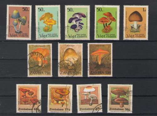 MUSHROOMS ASSORTED VFU