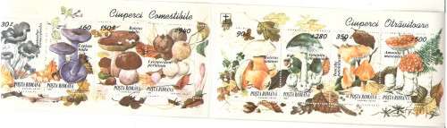 MUSHROOM BOOKLET FROM RUMANIA