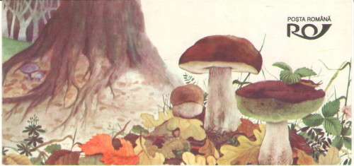 MUSHROOM BOOKLET FROM RUMANIA