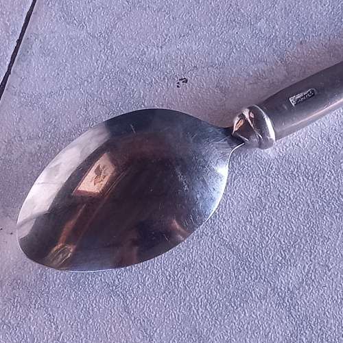 Carrol Boyes - Functional Art  Serving Spoon