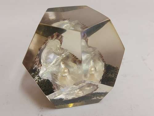 OYSTER PEARL PAPERWEIGHT