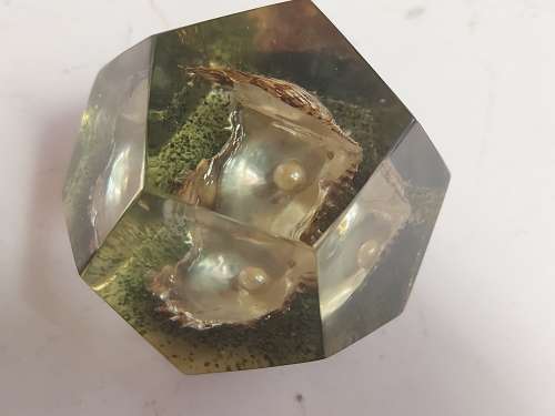 OYSTER PEARL PAPERWEIGHT