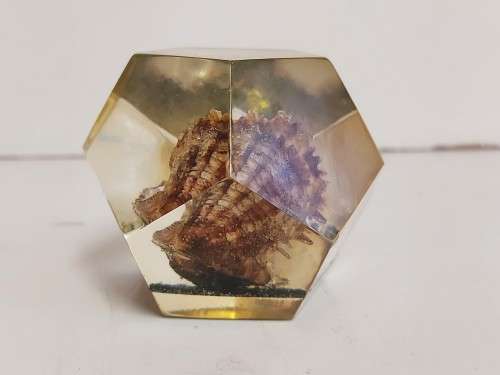 OYSTER PEARL PAPERWEIGHT