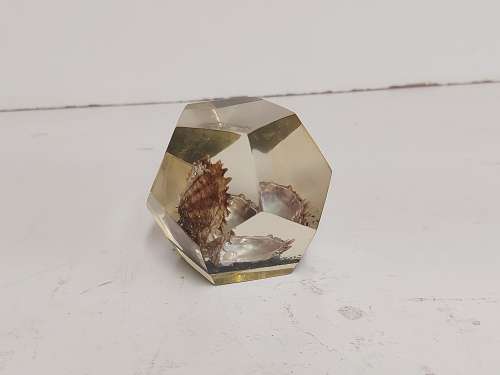 OYSTER PEARL PAPERWEIGHT