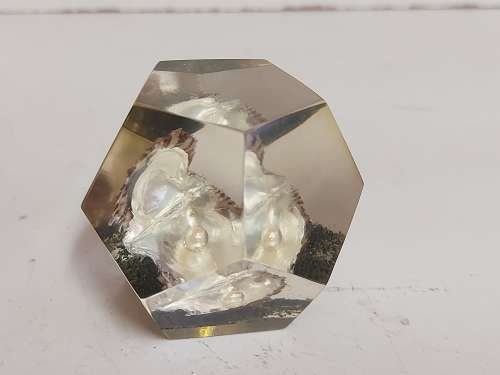 OYSTER PEARL PAPERWEIGHT