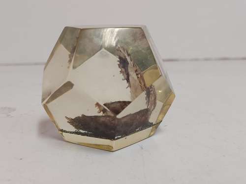 OYSTER PEARL PAPERWEIGHT