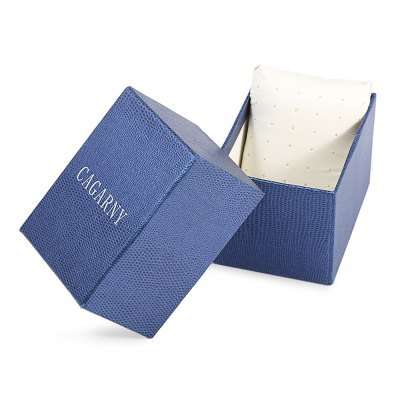 *Just In* CAGARNY Luxurious *BOX INCLUDED* Double Movt Timepiece