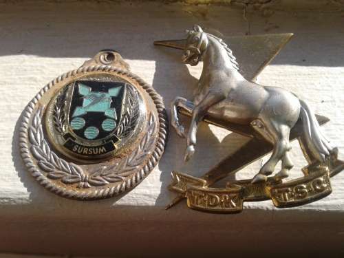 SAAF ALBATROSS FLYING SQUADRON _ AND A SADF TECHNICAL SERVICES CORPS BADGES.