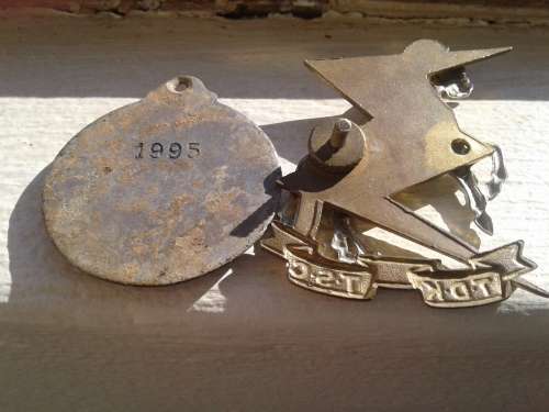 SAAF ALBATROSS FLYING SQUADRON _ AND A SADF TECHNICAL SERVICES CORPS BADGES.