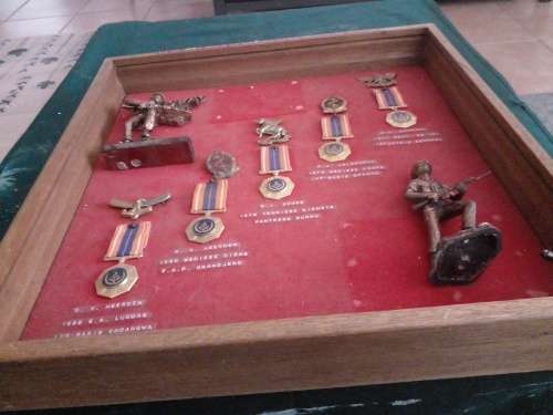 A Salute to 5 Bush War SADF. soldiers,with their unit badges and Pro Patria medals for Border duty.