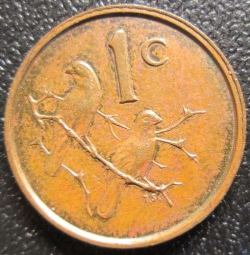 South Africa 1965 1c (English)