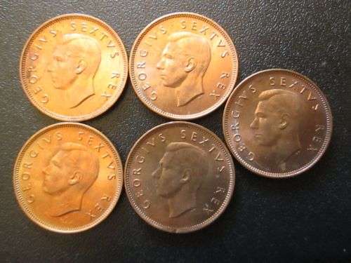 5 x 1952 Union of SA Uncirculated Half Penny (1/2D) coins, get all 5 for one bid!