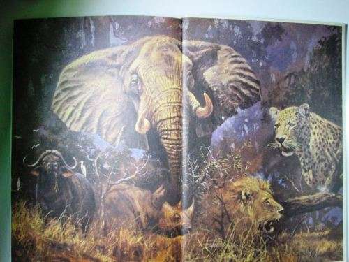 Hunting in Southern Africa By: Ralf Robert Enderwitz