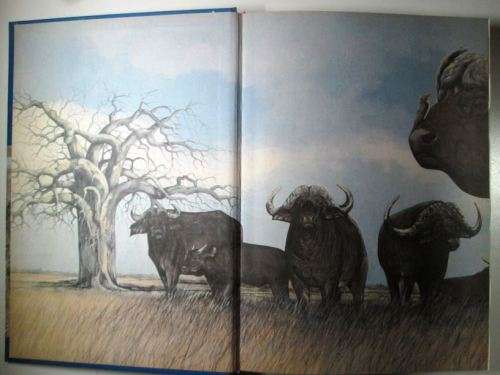 Hunting in Southern Africa By: Ralf Robert Enderwitz