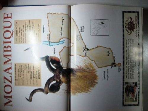 Hunting in Southern Africa By: Ralf Robert Enderwitz