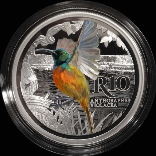 2016 R10 sterling-silver, the orange-breasted sunbird colour coin